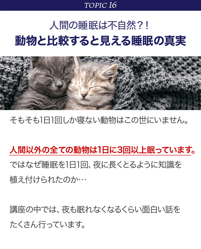 TOPIC16 人間の睡眠は不自然？！動物と比較すると見える睡眠の真実